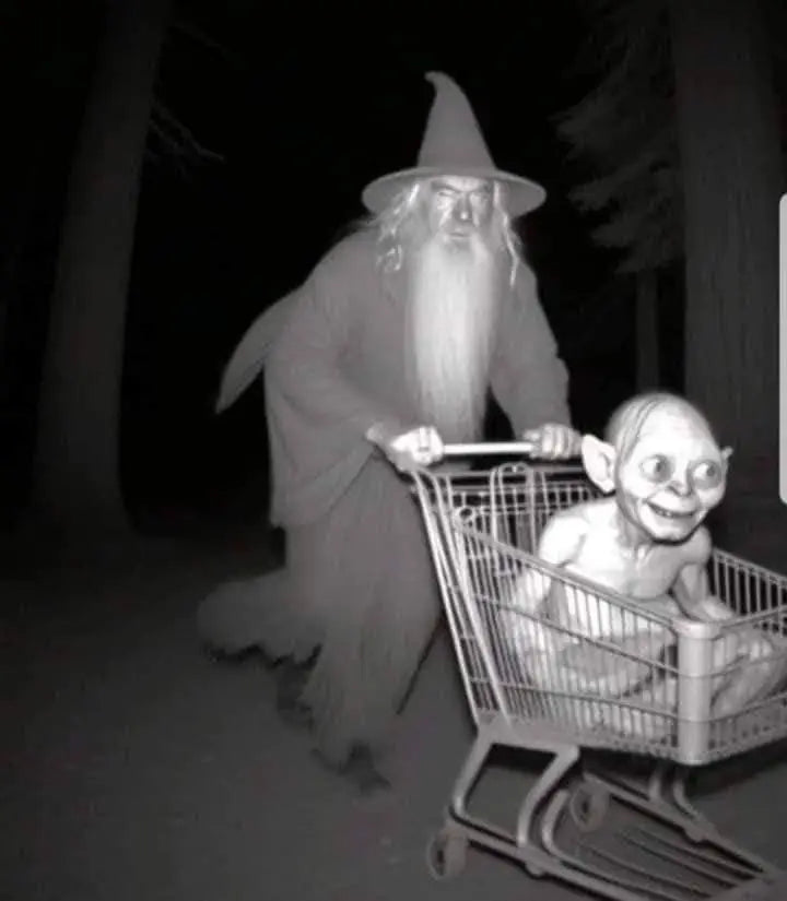 GANDALF & GOLLUM REGULAR ТЕНИСКА